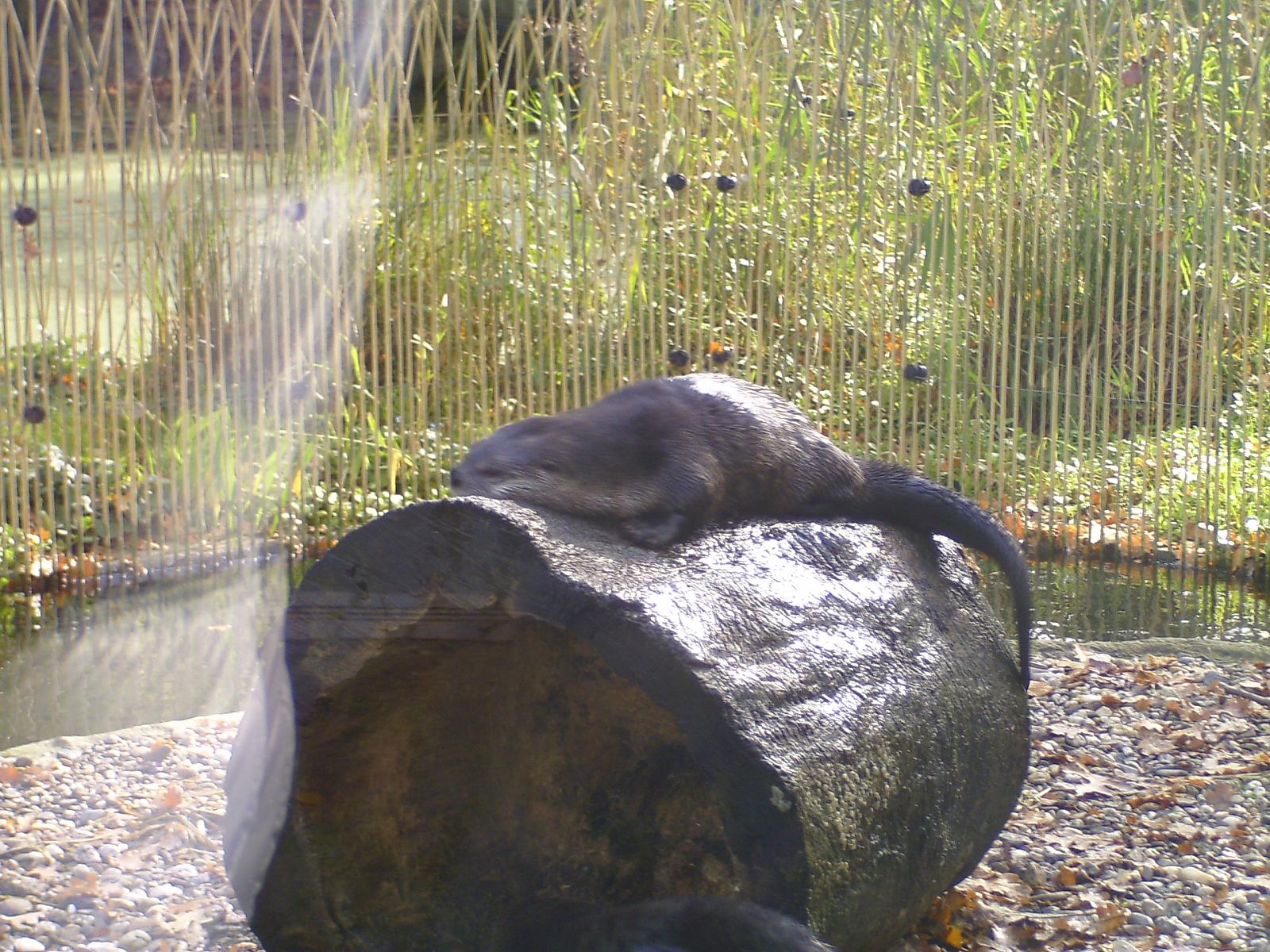 Zoom 18.10.08-070.jpg